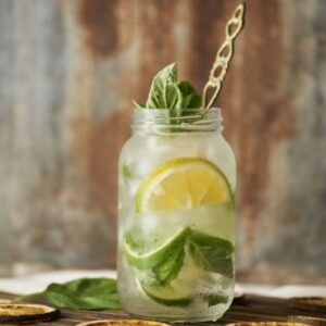 Lemon Mint Mojito